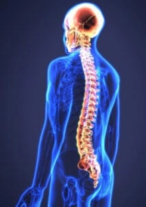 Chiropractic treatment to restore spinal alignment